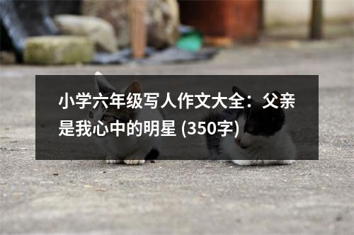 小學(xué)六年級寫人作文大全：父親是我心中的明星 (350字)