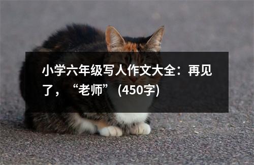 小學(xué)六年級寫人作文大全：再見了，“老師” (450字)