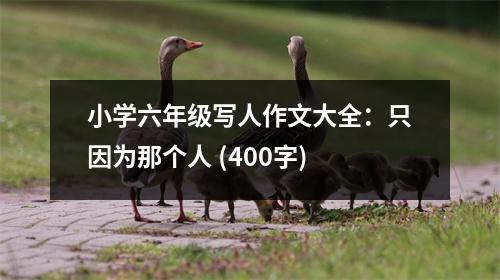 小學(xué)六年級寫人作文大全：只因為那個人 (400字)