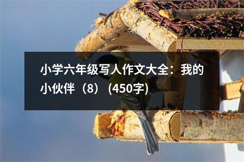小學(xué)六年級寫人作文大全：我的小伙伴（8） (450字)