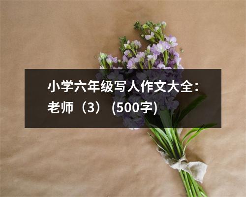 小學(xué)六年級(jí)寫人作文大全：老師（3） (500字)