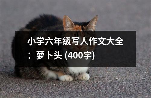 小學(xué)六年級寫人作文大全：蘿卜頭 (400字)
