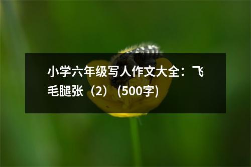 小學(xué)六年級寫人作文大全：飛毛腿張（2） (500字)