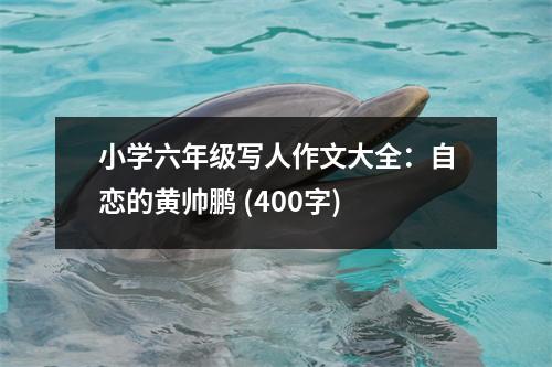小學(xué)六年級(jí)寫(xiě)人作文大全：自戀的黃帥鵬 (400字)
