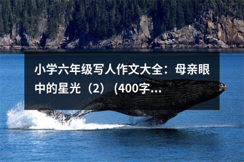 小學(xué)六年級寫人作文大全：母親眼中的星光（2） (400字)
