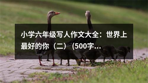 小學(xué)六年級寫人作文大全：世界上最好的你（二） (500字)