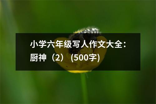 小學(xué)六年級(jí)寫(xiě)人作文大全：廚神（2） (500字)