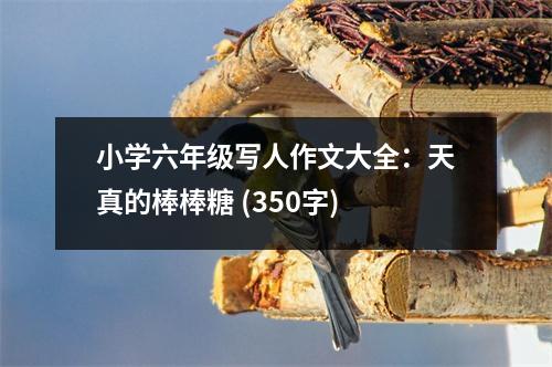 小學(xué)六年級(jí)寫人作文大全：天真的棒棒糖 (350字)