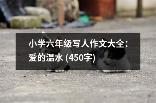 小學六年級寫人作文大全：愛的溫水 (450字)