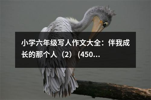 小學(xué)六年級寫人作文大全：伴我成長的那個人（2） (450字)
