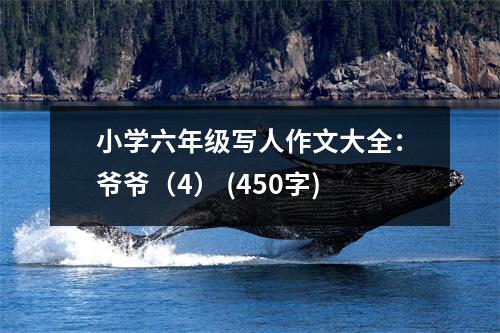 小學六年級寫人作文大全：爺爺（4） (450字)