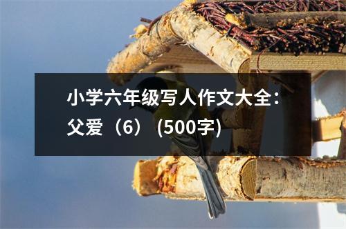 小學(xué)六年級寫人作文大全：父愛（6） (500字)