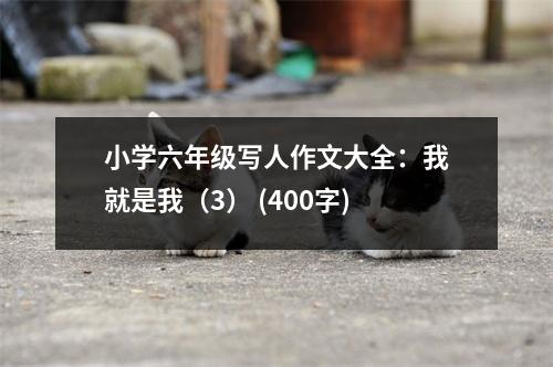 小學(xué)六年級(jí)寫人作文大全：我就是我（3） (400字)