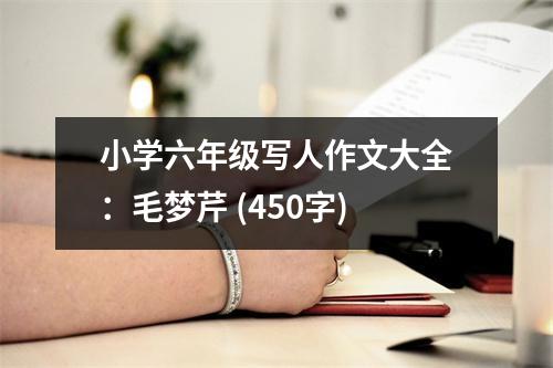 小學(xué)六年級寫人作文大全：毛夢芹 (450字)