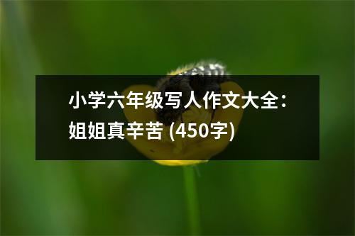 小學(xué)六年級寫人作文大全：姐姐真辛苦 (450字)
