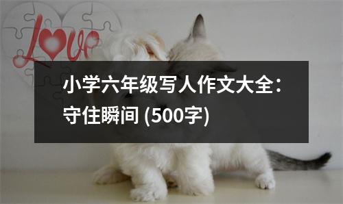 小學(xué)六年級(jí)寫(xiě)人作文大全：守住瞬間 (500字)