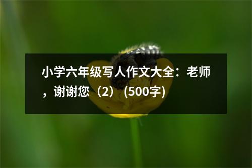 小學(xué)六年級(jí)寫人作文大全：老師，謝謝您（2） (500字)