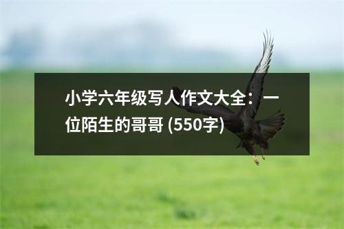 小學(xué)六年級(jí)寫(xiě)人作文大全：一位陌生的哥哥 (550字)
