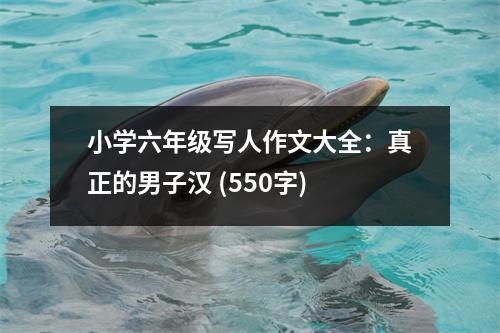 小學(xué)六年級寫人作文大全：真正的男子漢 (550字)