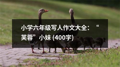 小學六年級寫人作文大全：“芙蓉”小妹 (400字)