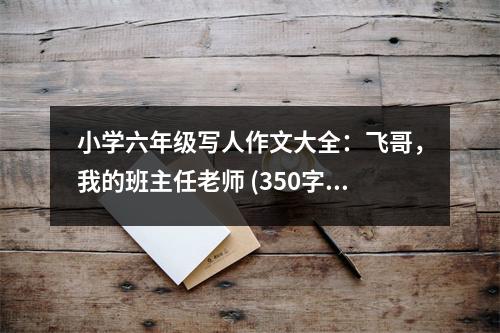 小學(xué)六年級寫人作文大全：飛哥，我的班主任老師 (350字)