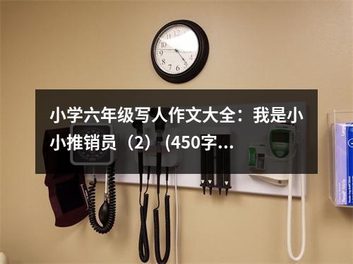 小學六年級寫人作文大全：我是小小推銷員（2） (450字)