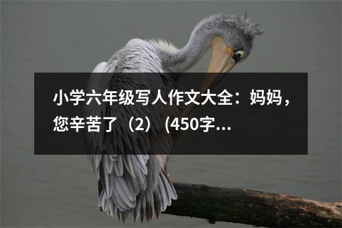 小學(xué)六年級寫人作文大全：媽媽，您辛苦了（2） (450字)