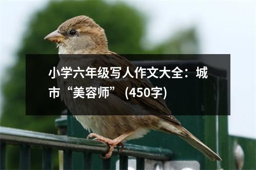 小學(xué)六年級寫人作文大全：城市“美容師” (450字)