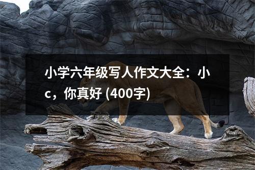 小學(xué)六年級(jí)寫人作文大全：小c，你真好 (400字)