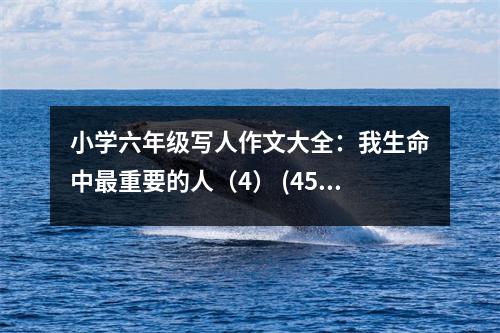 小學(xué)六年級(jí)寫人作文大全：我生命中最重要的人（4） (450字)