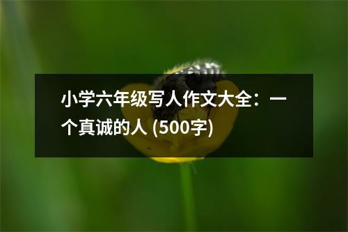 小學(xué)六年級(jí)寫人作文大全：一個(gè)真誠(chéng)的人 (500字)
