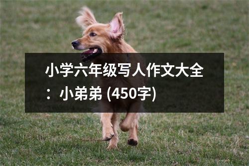 小學(xué)六年級寫人作文大全：小弟弟 (450字)