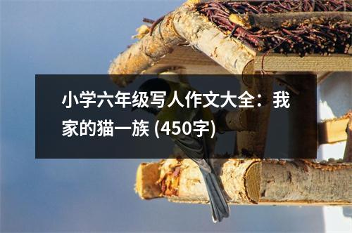 小學(xué)六年級(jí)寫(xiě)人作文大全：我家的貓一族 (450字)