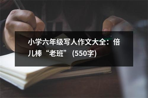小學(xué)六年級(jí)寫人作文大全：倍兒棒“老班” (550字)