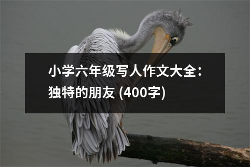 小學(xué)六年級寫人作文大全：獨特的朋友 (400字)