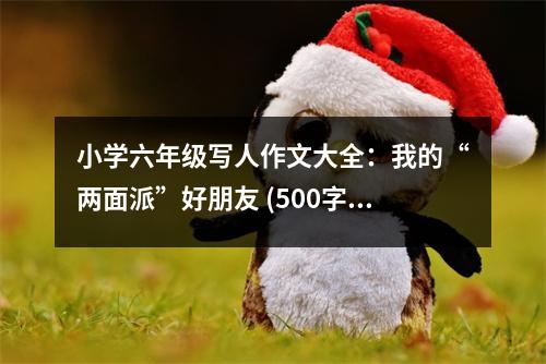 小學六年級寫人作文大全：我的“兩面派”好朋友 (500字)