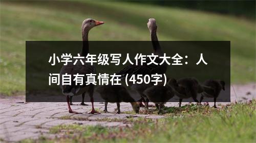 小學(xué)六年級(jí)寫人作文大全：人間自有真情在 (450字)