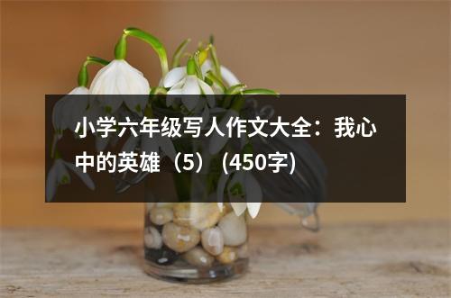 小學(xué)六年級寫人作文大全：我心中的英雄（5） (450字)