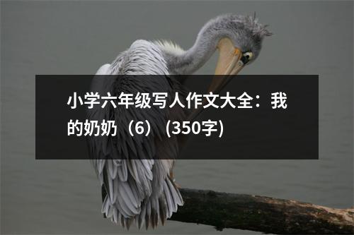 小學(xué)六年級(jí)寫人作文大全：我的奶奶（6） (350字)