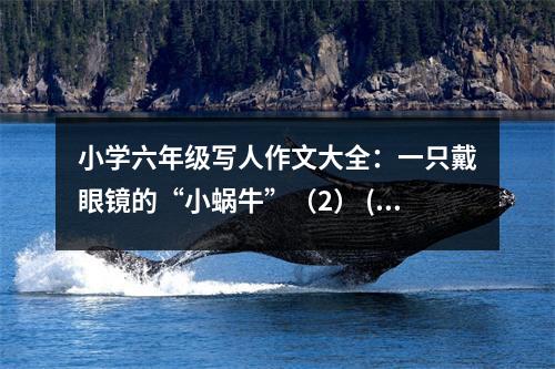 小學(xué)六年級(jí)寫人作文大全：一只戴眼鏡的“小蝸?！保?） (450字)