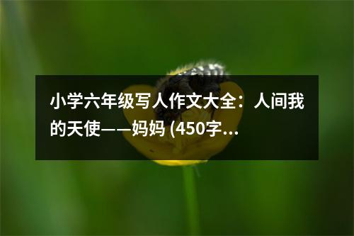 小學(xué)六年級(jí)寫(xiě)人作文大全：人間我的天使——媽媽 (450字)