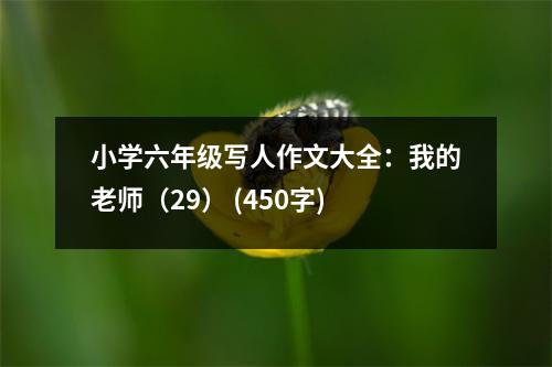 小學(xué)六年級(jí)寫(xiě)人作文大全：我的老師（29） (450字)