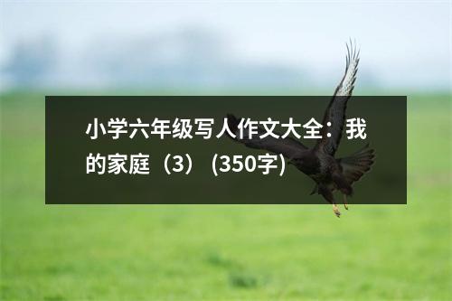 小學六年級寫人作文大全：我的家庭（3） (350字)