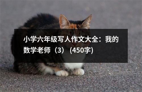 小學(xué)六年級(jí)寫(xiě)人作文大全：我的數(shù)學(xué)老師（3） (450字)