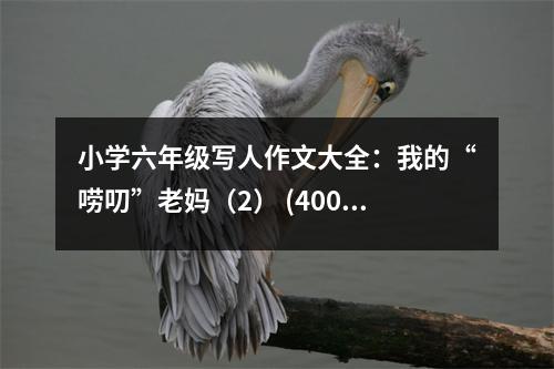 小學(xué)六年級(jí)寫人作文大全：我的“嘮叨”老媽（2） (400字)