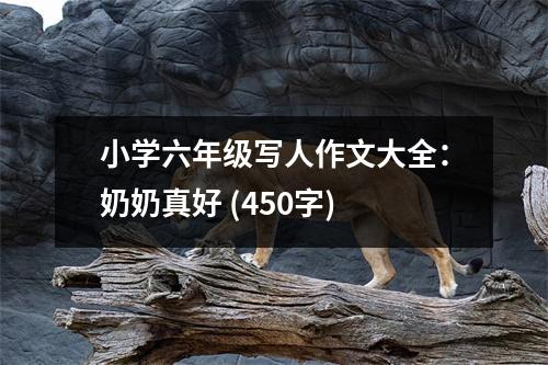 小學(xué)六年級(jí)寫(xiě)人作文大全：奶奶真好 (450字)