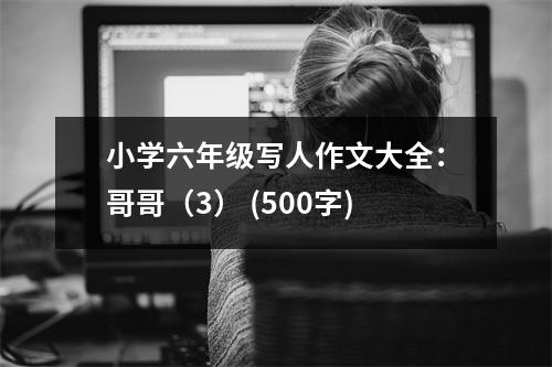 小學(xué)六年級(jí)寫人作文大全：哥哥（3） (500字)