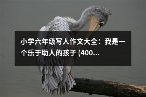 小學六年級寫人作文大全：我是一個樂于助人的孩子 (400字)