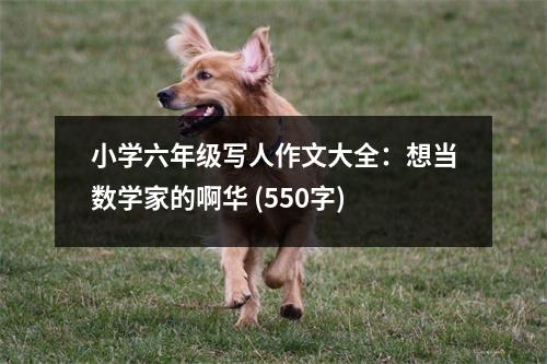 小學(xué)六年級(jí)寫(xiě)人作文大全：想當(dāng)數(shù)學(xué)家的啊華 (550字)