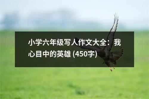小學六年級寫人作文大全：我心目中的英雄 (450字)